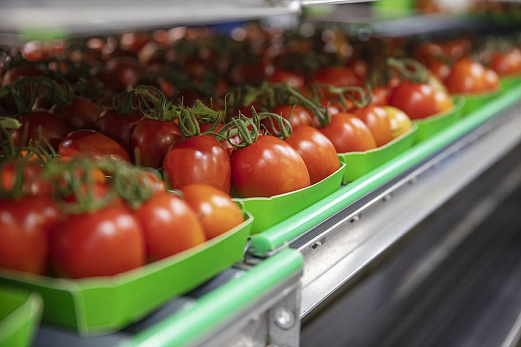 Переработка овощей